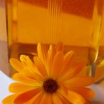 Calendula Infused in Sunflower Oil